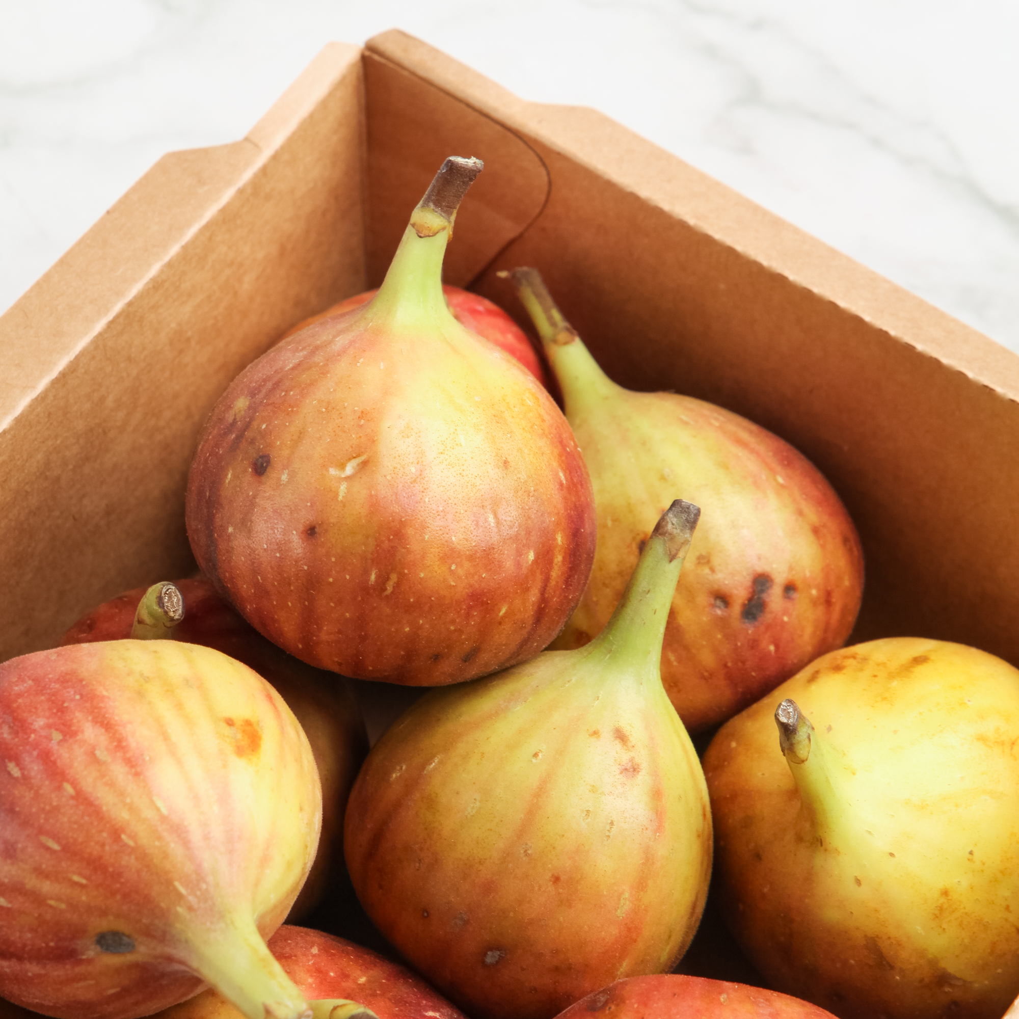 Organic Fig - Jumbo size